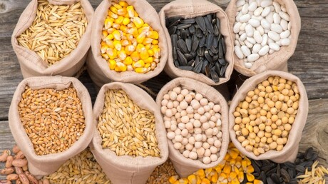 utilice sopladores para el transporte neumático de granos y otros materiales a granel